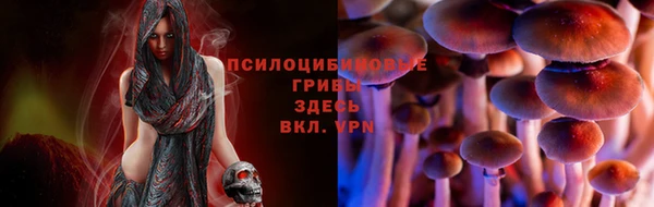 соль ск Богородицк