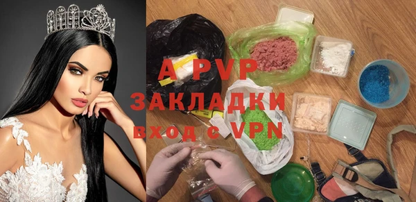 Альфа ПВП Верея