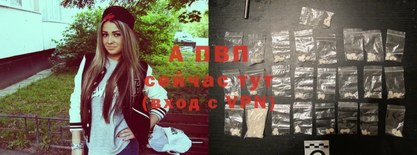 Альфа ПВП Верея