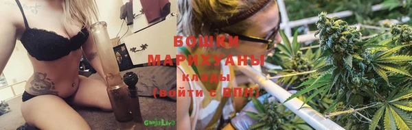 Альфа ПВП Верея