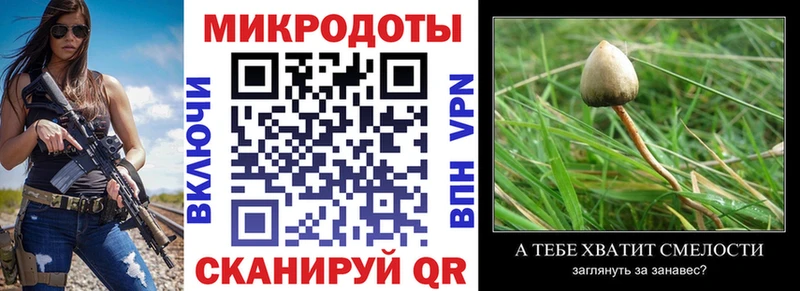 Галлюциногенные грибы Psilocybe  Старица 